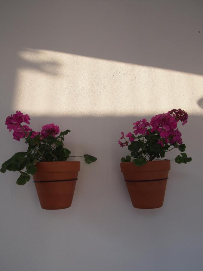 Appartement 9 Malaga, Three Unique With Private Plunge Pool Málaga